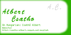 albert csatho business card
