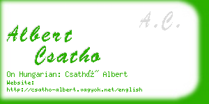 albert csatho business card